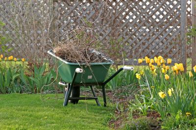 Spring Yard Clean Up