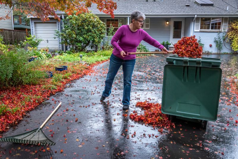 Leaf Pile Disposal