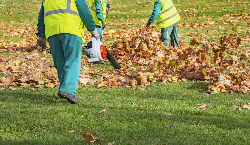 Community Leaf Cleanup
