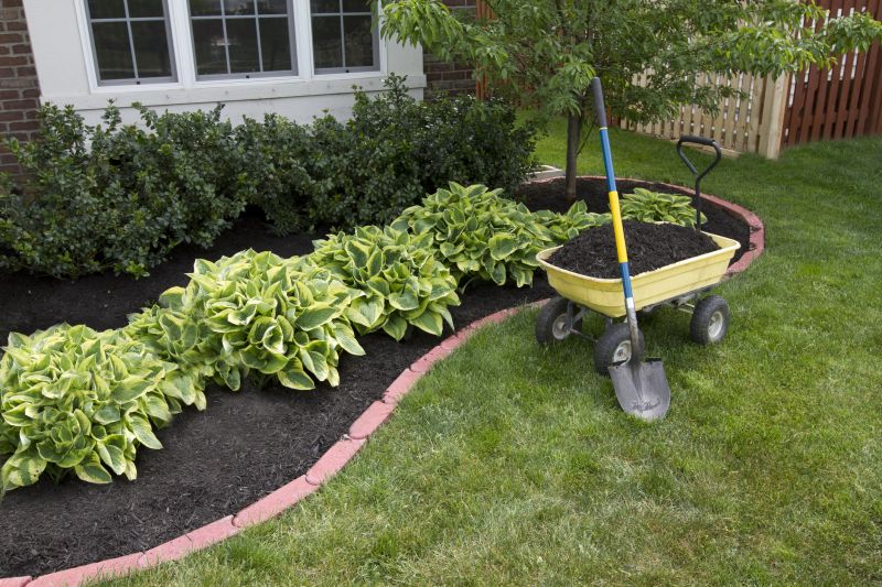 Clean and Tidy Garden Beds