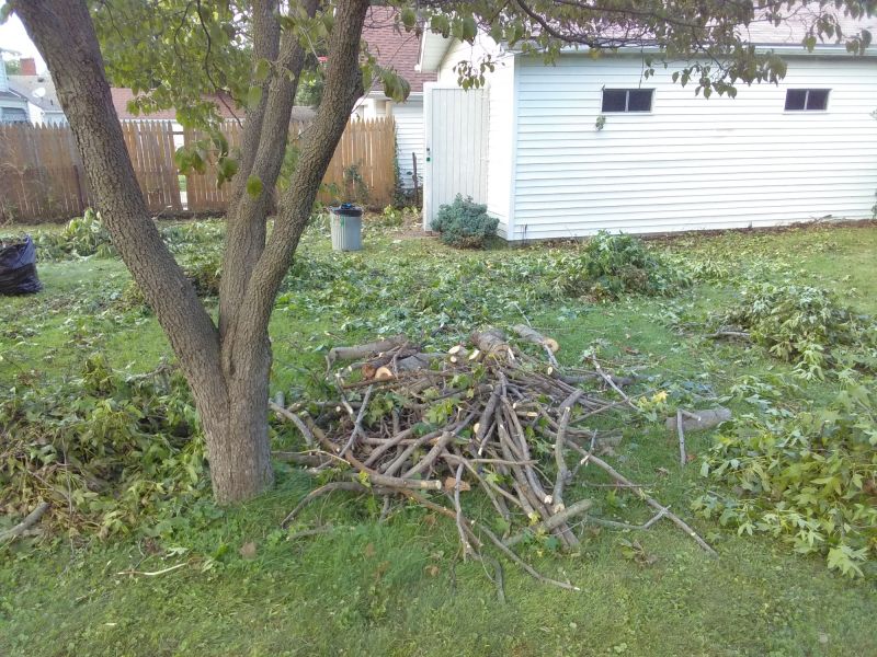 Spring Yard Debris Removal