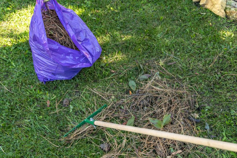 Spring Yard Clean Up Tools